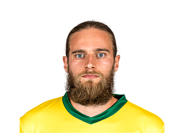 Branislav Ninaj portrait
