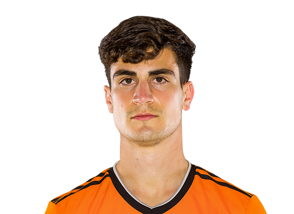 Nico Lemoine player photo