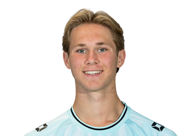 Thomas Hulleman