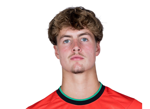 Merijn Van De Wiel