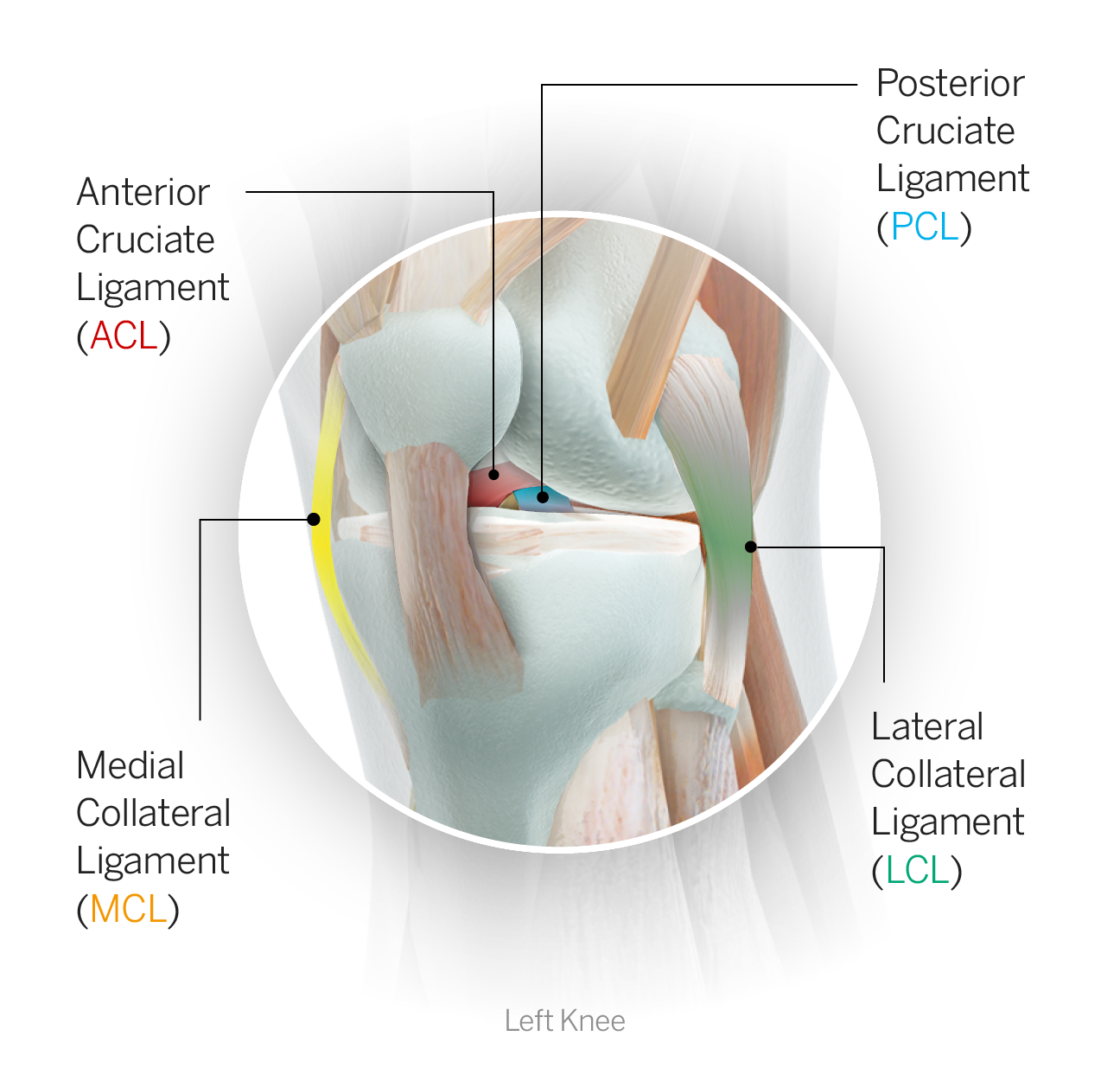 Knee Ligament Injuries - InSync Physiotherapy