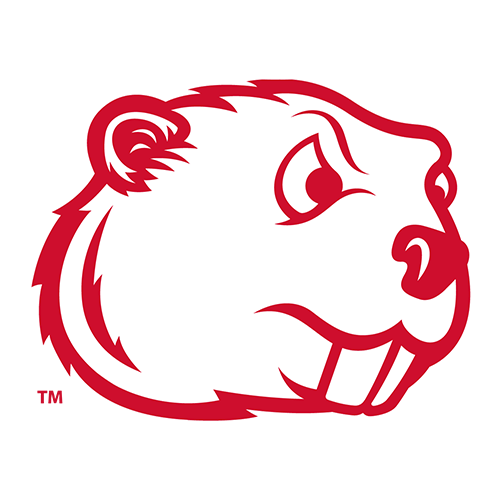 Minot State logo
