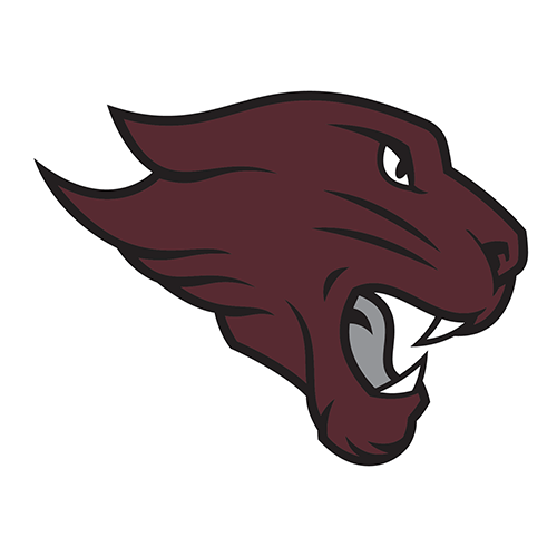 Cougars Logo