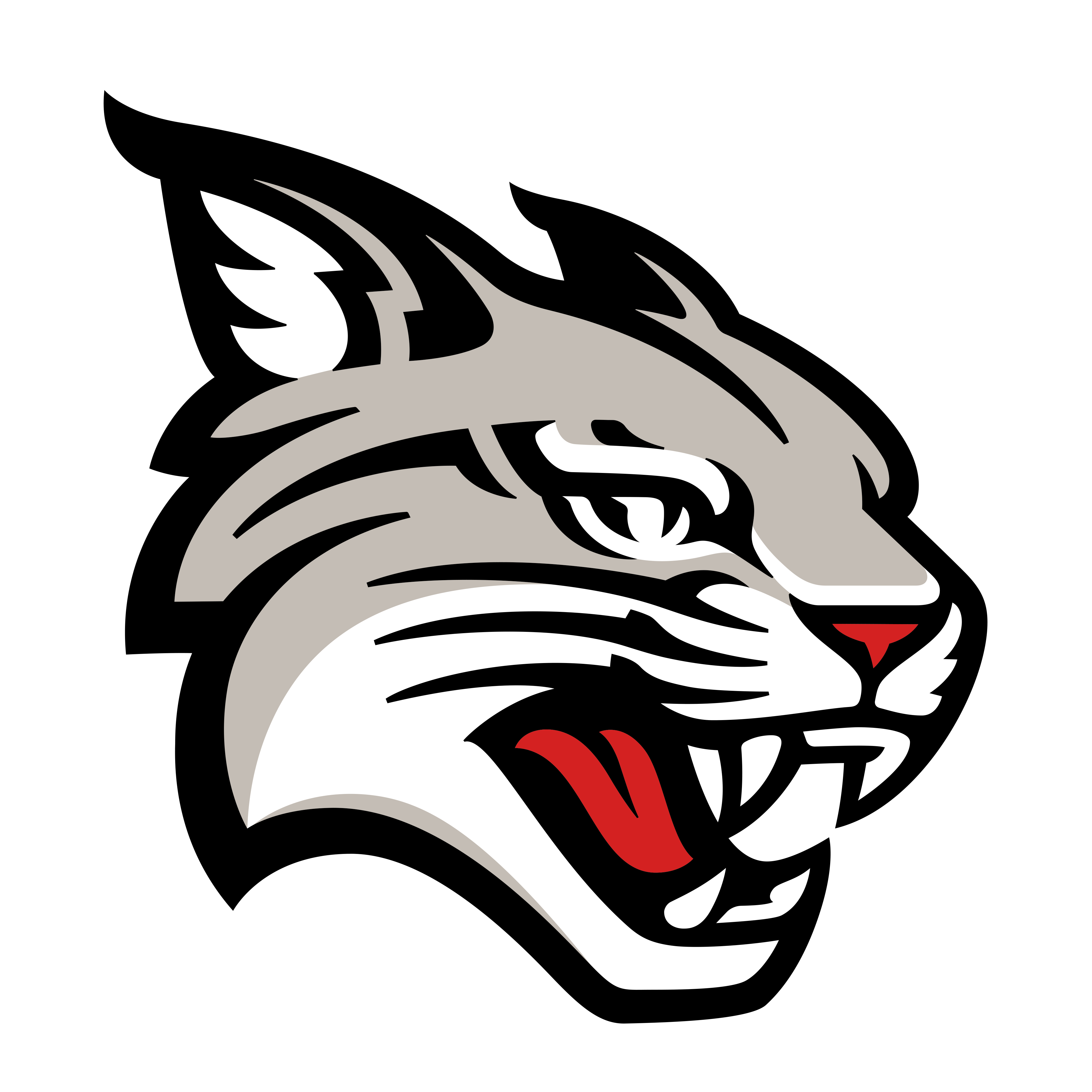 Davidson Wildcats