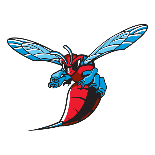 Delaware State Hornets Logo