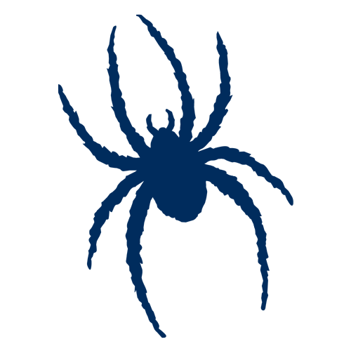 Richmond Spiders