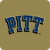 Pittsburgh Panthers