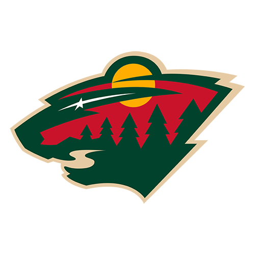 mn wild hat night