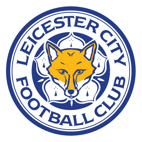 Leicester City Image