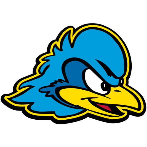 Delaware Fightin' Blue Hens logo