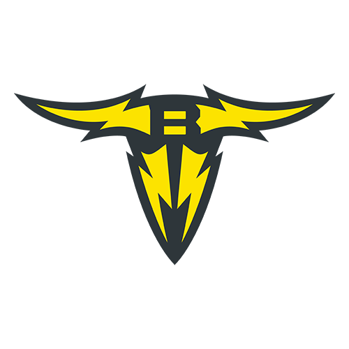 UFL - San Antonio Brahmas logo channel