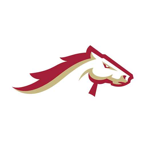 Birmingham Stallions