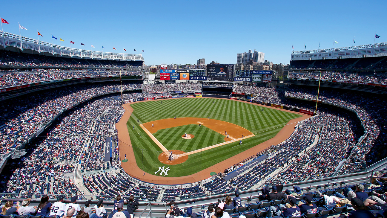 💋Classic💋  New york yankees, Yankees baseball, New york yankees