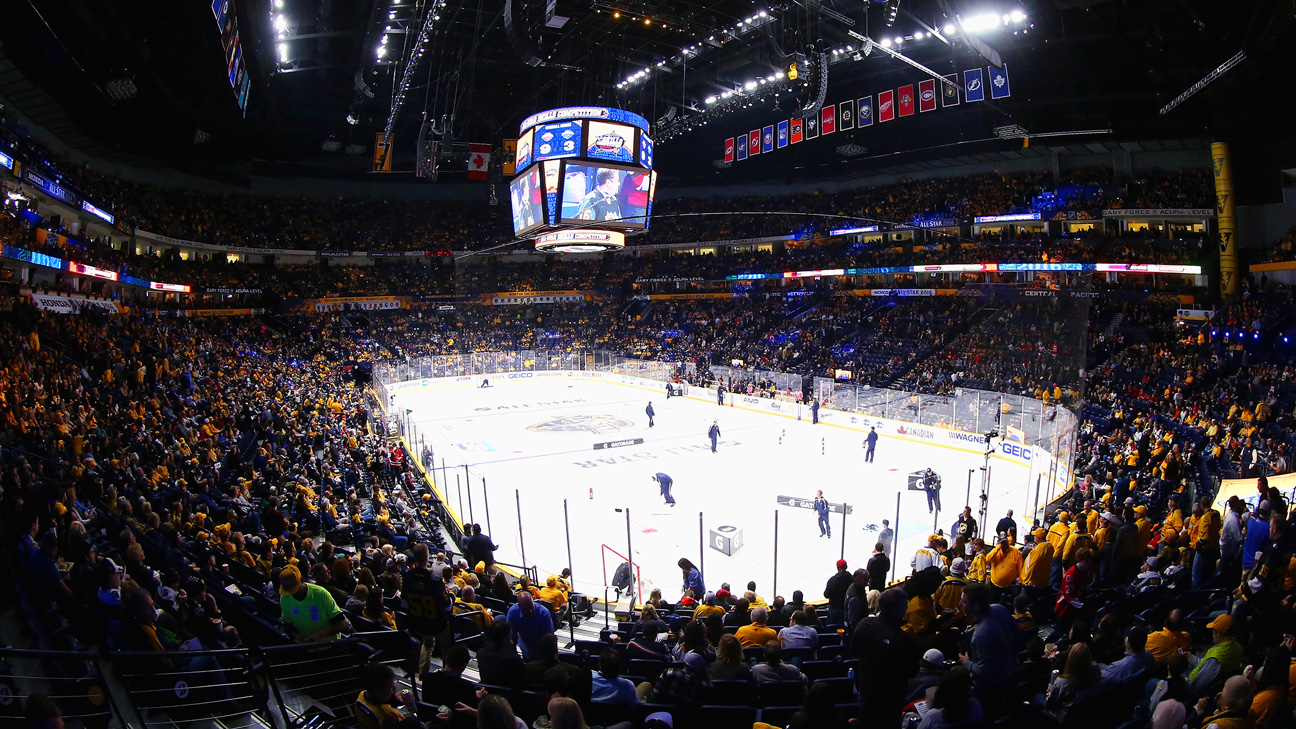 Lightning and Predators Meet in Latest Edition of NHL Stadium Series – The  Stillman Exchange