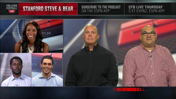 stanford steve and bear picks