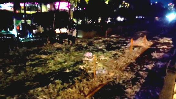 sitio oficial de los pumas dela unam