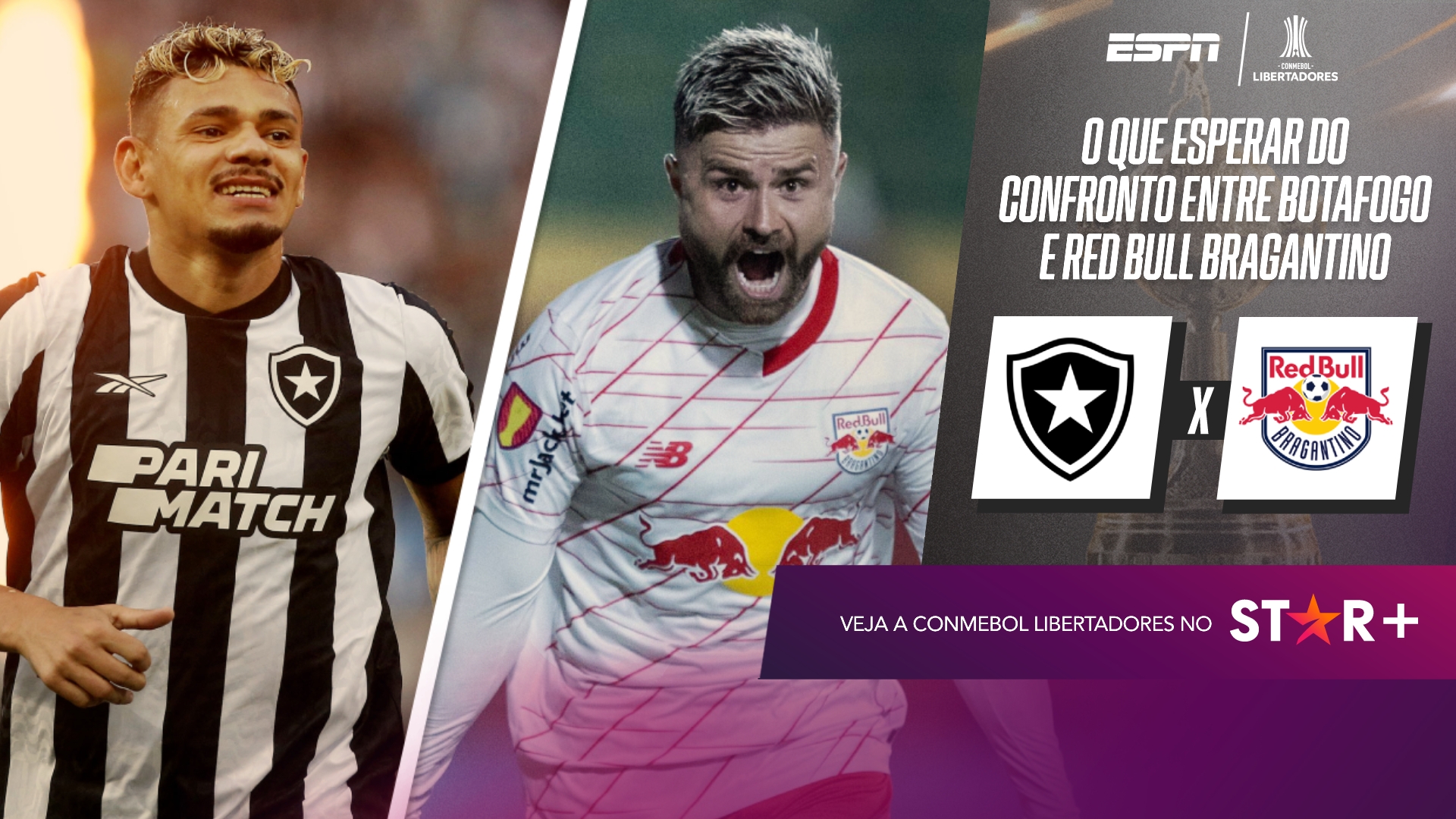 Botafogo x Red Bull Bragantino: o que esperar do confronto pela ...
