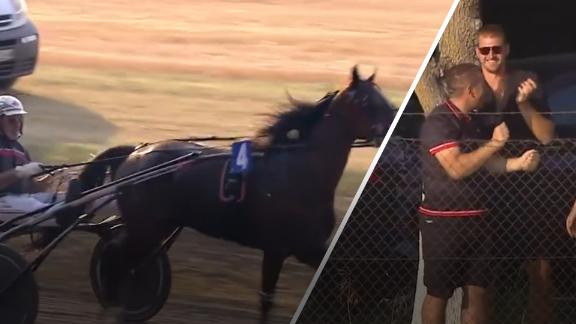 Nikola Jokic celebrates in the crowd as his horse is victorious in its race.