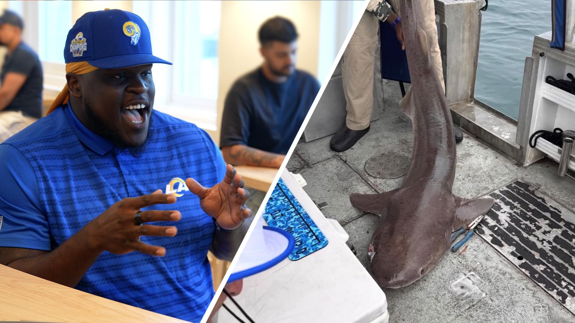 Would Rams star prefer facing a shark or blocking an All-Pro DT?