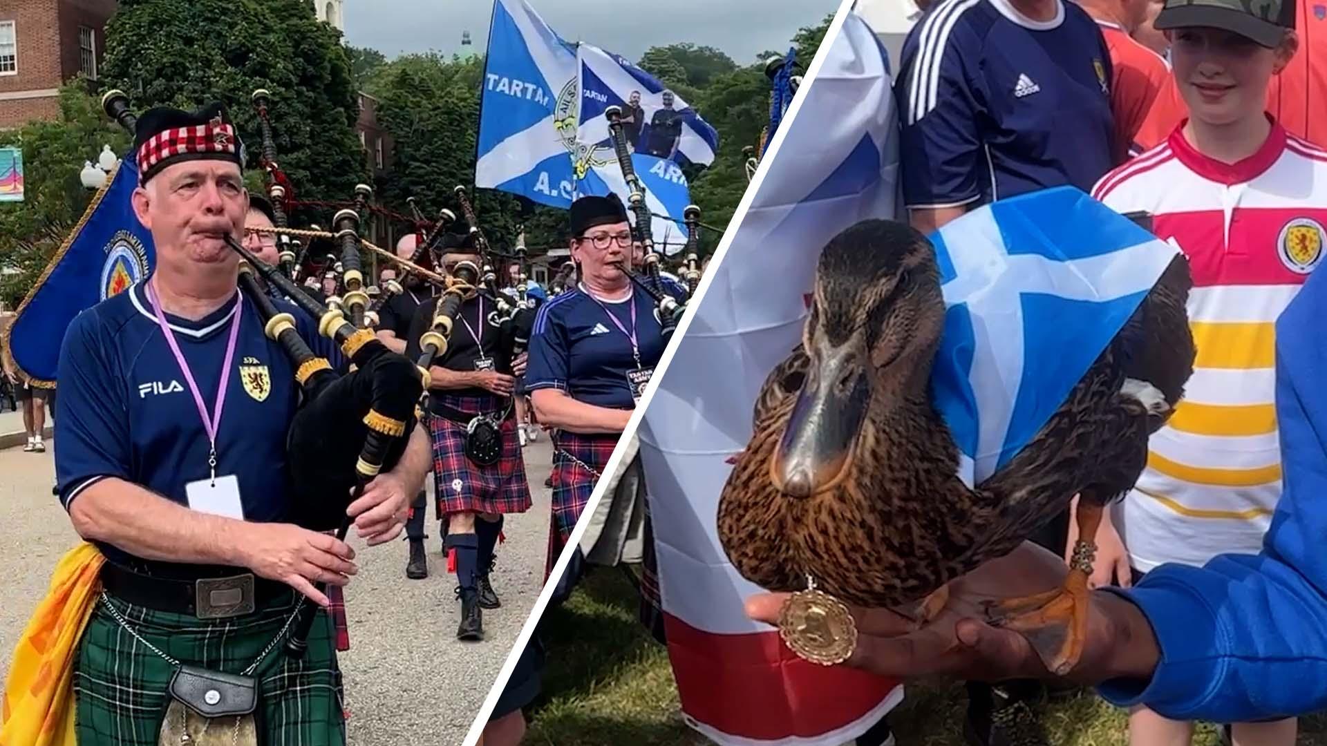 Scotland's very own duck joins bagpipe march in Boston