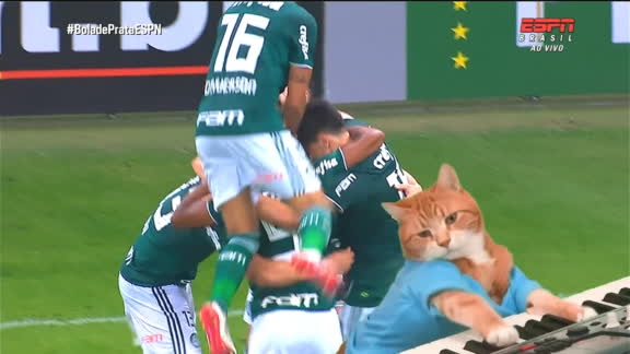 Télécharger gratuitement Images Watchespn Esportes Ao Vivo Reprise Dos Jogos Destaques Em Video dernière salutations
