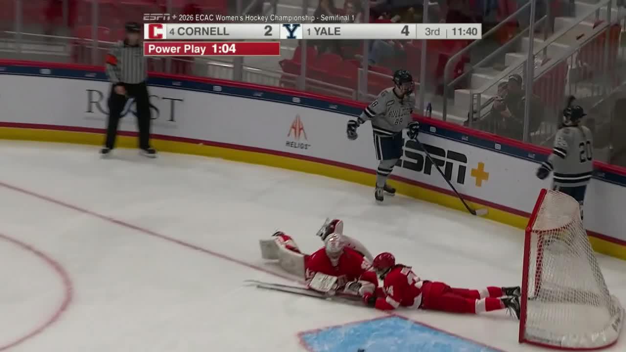 Cornell Big Red vs. Yale Bulldogs Game Highlights