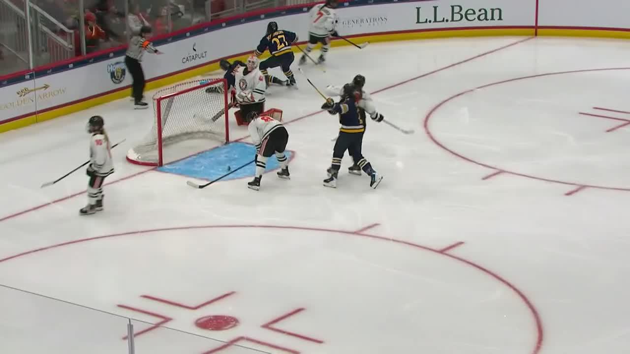 Quinnipiac Bobcats vs. Princeton Tigers Game Highlights