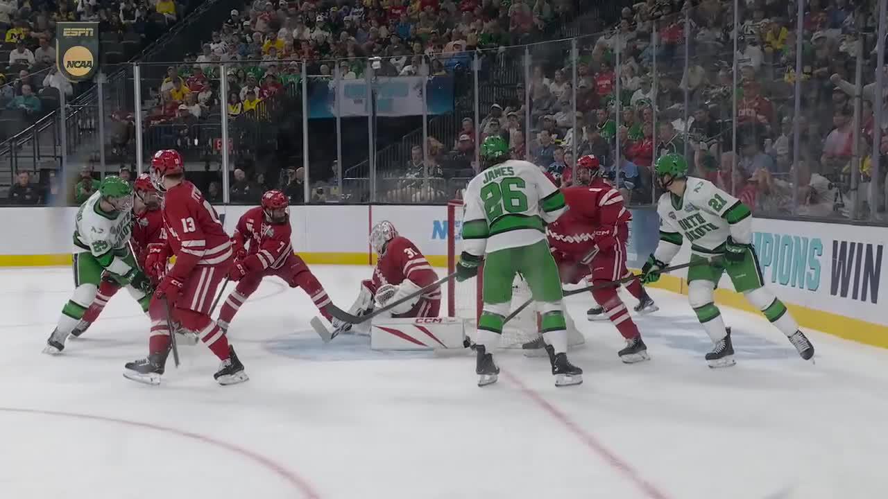 Wisconsin Badgers vs. North Dakota Fighting Hawks Game Highlights