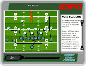 Exploring the Dolphins' Unique Use of Wildcat Formation