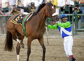 Barbaro
