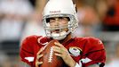 Matt Leinart