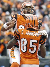 T.J. Houshmandzadeh 'feels bad' for Chad Johnson