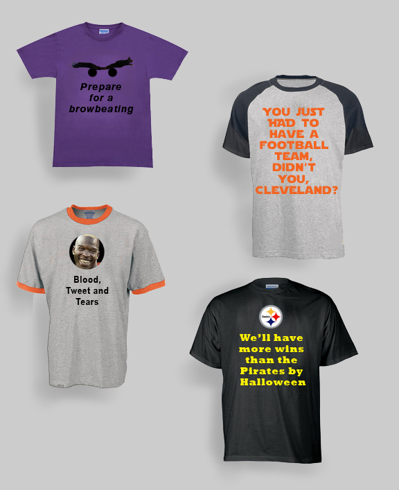 afc north champion shirts