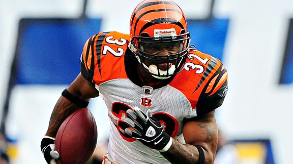 cedric benson bengals jersey