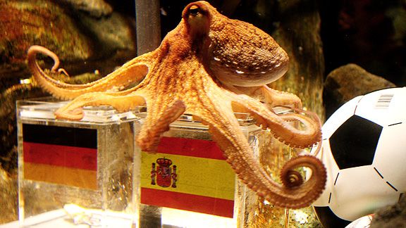 Paul the Octopus is just the latest to go out on top. Here's a