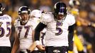 2010 Divisional Round: Baltimore Ravens vs. Pittsburgh Steelers - NFL  Playoffs - ESPN