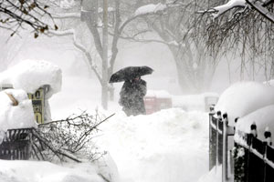 Washington Blizzard