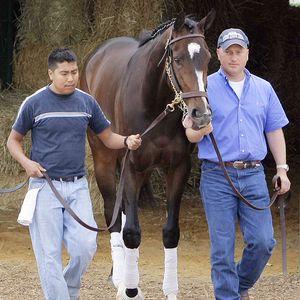 Rachel Alexandra is pregnant after breeding with Curlin, so Page 2 gets ...