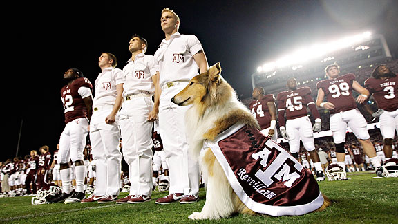 Reveille X  Texas A&M University