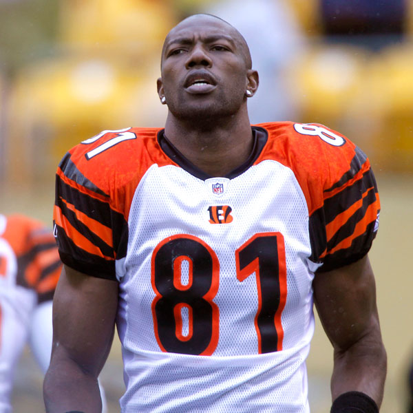 Terrell Owens will be signed by an NFL team this season