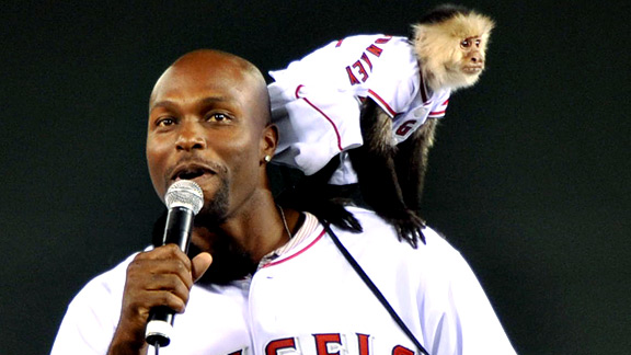 Rally Monkey - Los Angeles Angels of Anaheim 