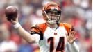 2011 Wild Card Round: Cincinnati Bengals vs. Houston Texans - NFL Playoffs  - ESPN