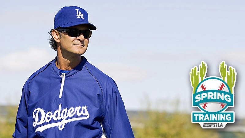 Mattingly to Replace Torre as Dodger Manager - The New York Times