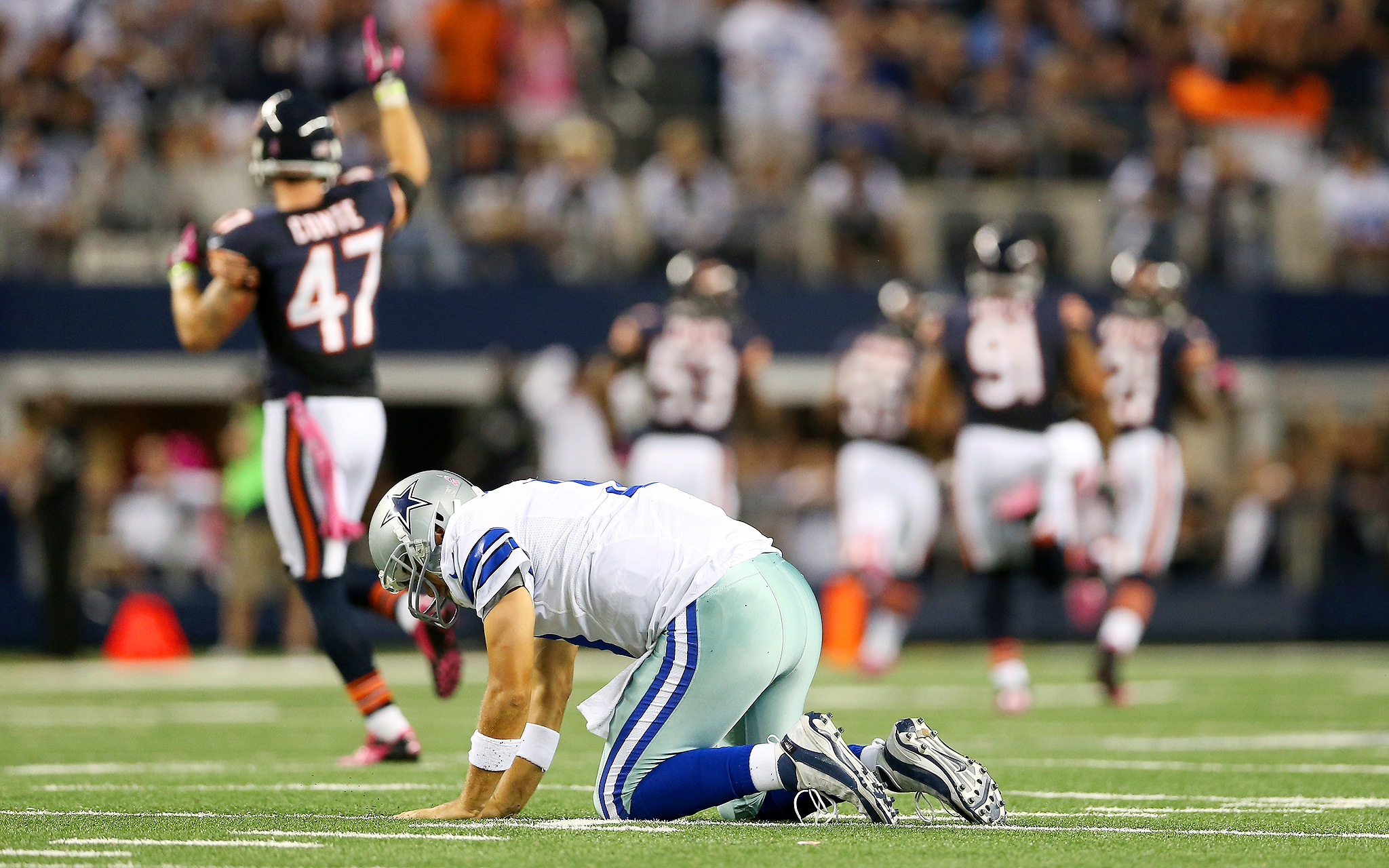 Un-Bear-able - Photos of the Day October 2, 2012 - ESPN