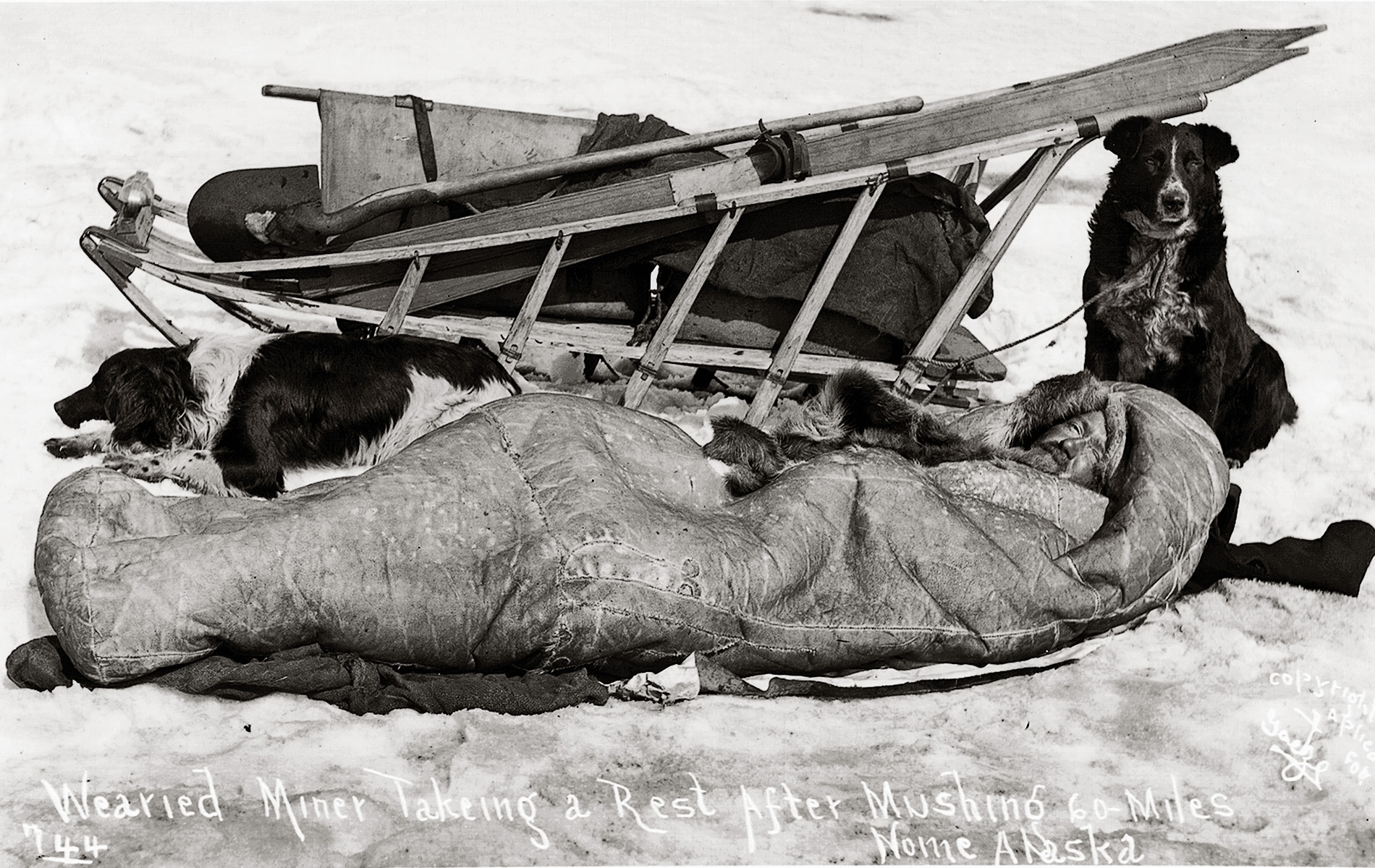 Miner resting - History of Dogsledding - ESPN