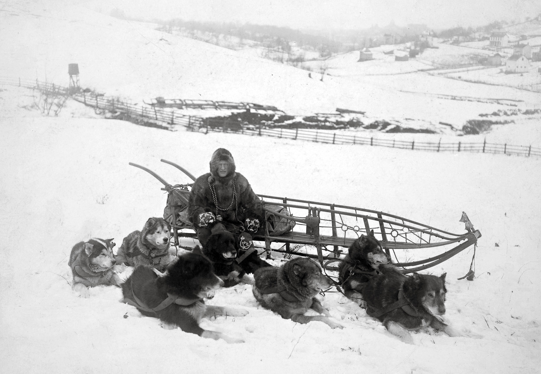 Dog team carrying mail History of Dogsledding ESPN