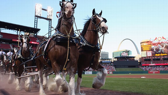 Cardinals Anheuser-Busch Clydesdales history
