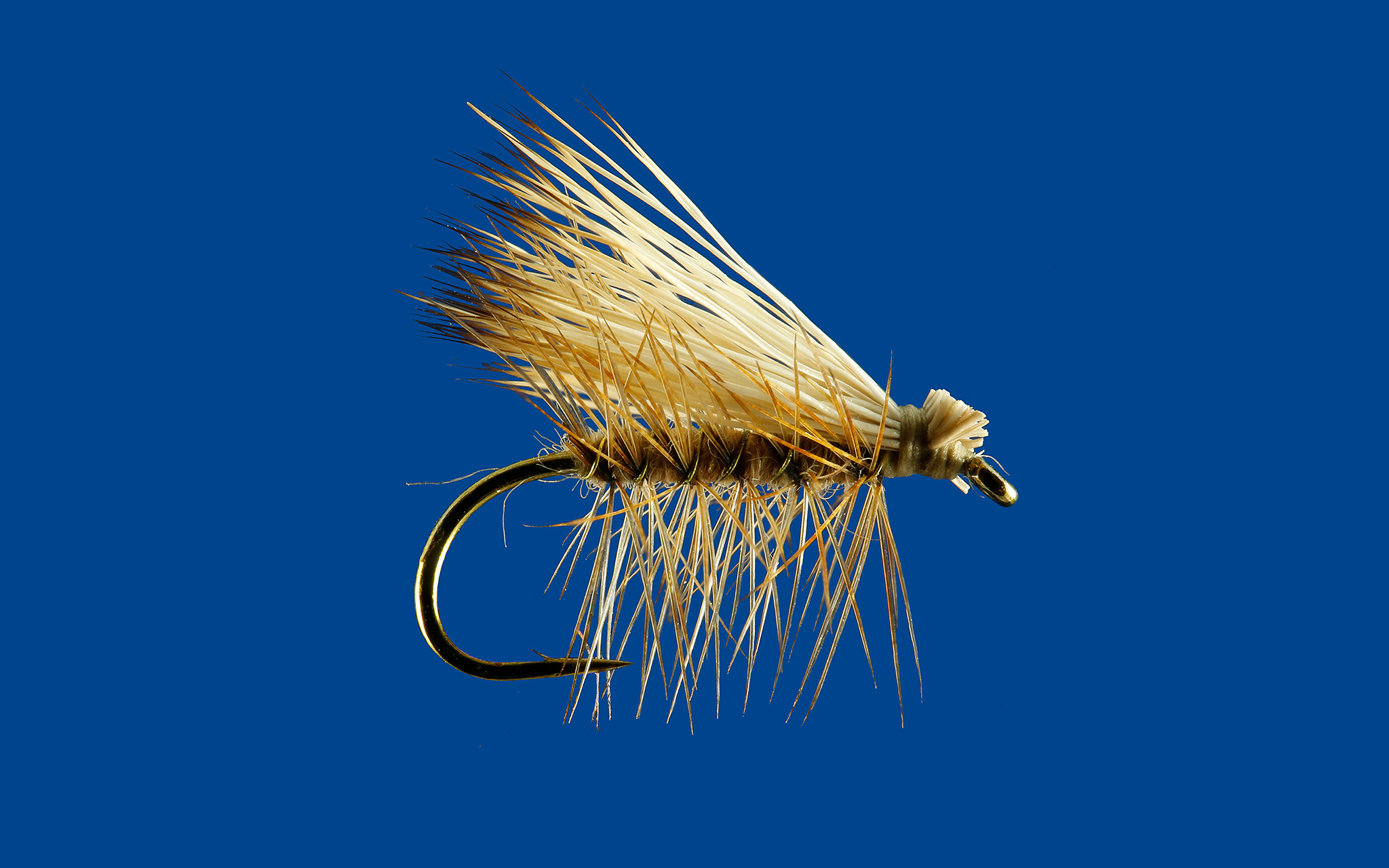 Elk Hair Caddis Tom Favorite Flies ESPN
