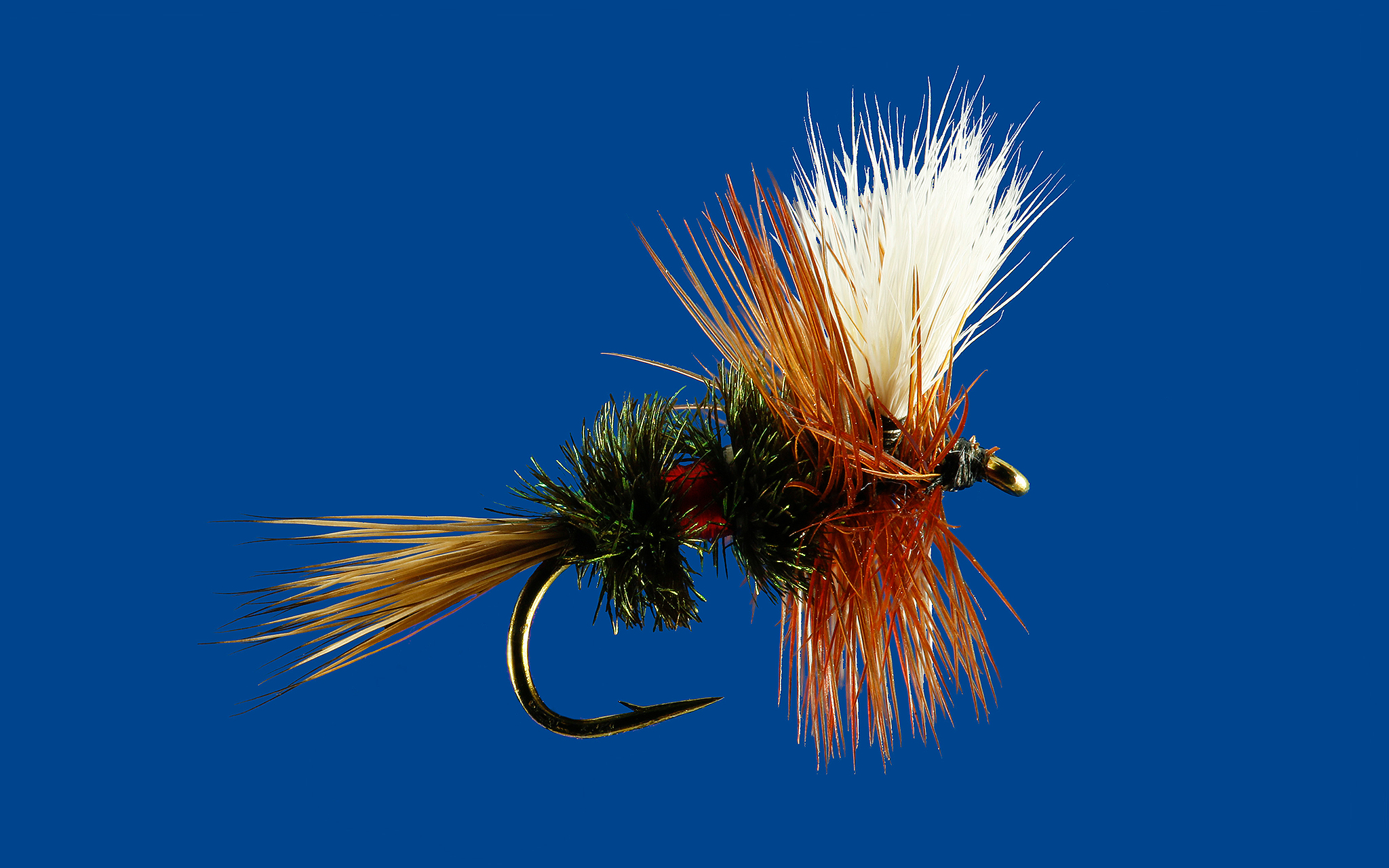 Royal Wulff Tom Favorite Flies ESPN