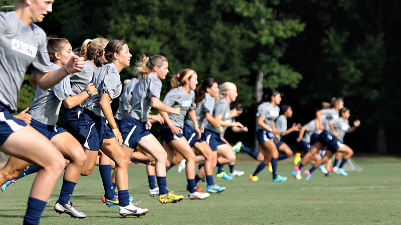 Sports University of North Carolina Tar Heels Victory Crew Socks 